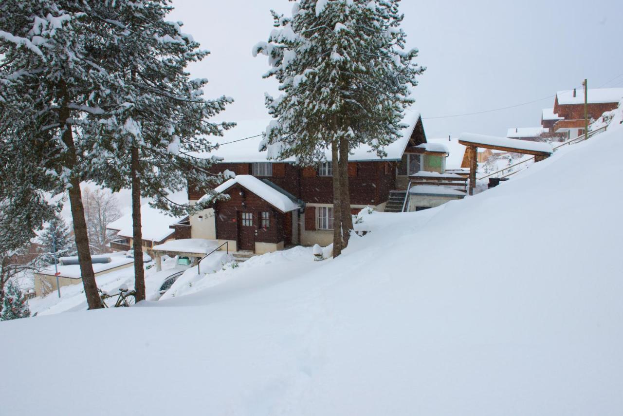 Chalet 4 Personnes Avec Sauna Leysin Exterior foto