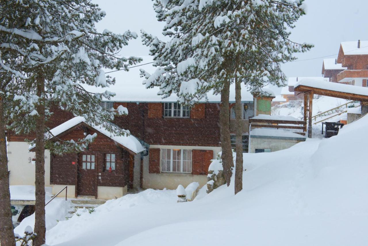 Chalet 4 Personnes Avec Sauna Leysin Exterior foto